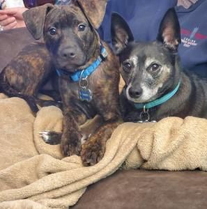 Meet your Posher, Mark